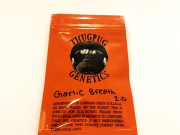 Vente: ThugPug Genetics - Garlic Breath 2.0    10 Regular Seeds
