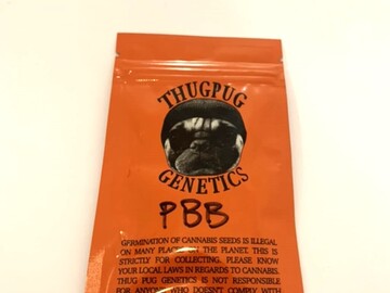 Vente: ThugPug Genetics - Peanut Butter Breath 10 Regular Seeds