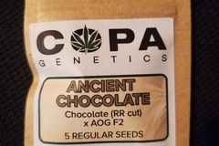 Venta: Copa Genetics Ancient Chocolate 5 pack