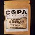 Venta: Copa Genetics Ancient Chocolate 5 pack