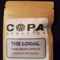 Sell: Copa Genetics The Local 5 Pack