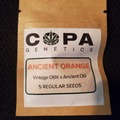Sell: Copa Genetics Ancient Orange 5 Pack