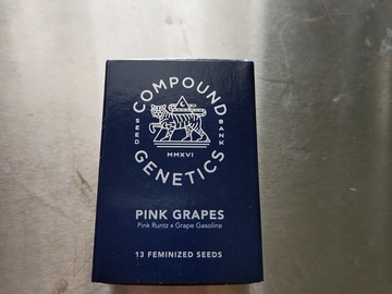 Sell: Compound Genetics- Pink Grapes