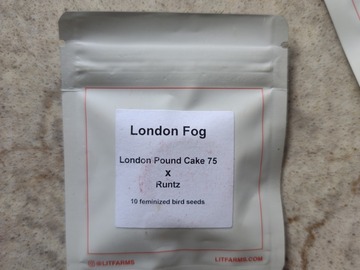 Vente: London Fog (London Pound Cake #75 x Runtz) by Lit Farms