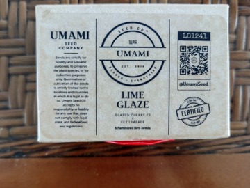Sell: Lime Glaze (Glazed Cherry F2 x Key Limeade) by Umami Seed Company