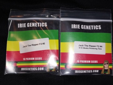 Venta: Rare, Irie Genetics, Jack The Ripper F2 #2 & #4 20 Seeds Total