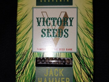 Sell: 4TH OF JULY SALE! Jack Hammer 10 Fems. by Victory Seeds