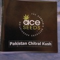 Sell: Pakistan chitral kush Ace