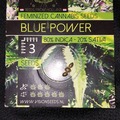 Vente: Blue Power by Vision Seeds 3 Feminized Seeds
