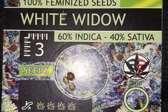 Venta: White Widow by Vision Seeds 3 Feminized Seeds