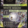 Venta: White Widow by Vision Seeds 3 Feminized Seeds