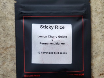 Vente: Sticky Rice (Lemon Cherry Gelato x Permanent Marker) by Lit Farms
