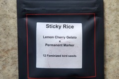 Sell: Sticky Rice (Lemon Cherry Gelato x Permanent Marker) by Lit Farms