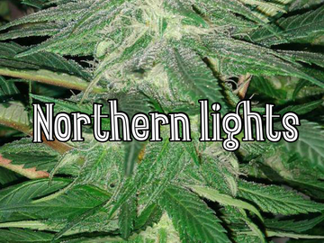 Venta: 1992 Northen Lights