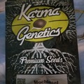 Sell: Mochiesel karma genetics