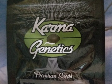 Sell: Sour rado karma genetics lost my job sale