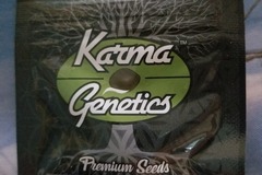 Sell: Sour rado karma genetics lost my job sale