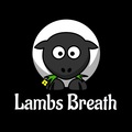 Vente: SALE - Lambs Breath Collection - 6 Packs - 72 Seeds