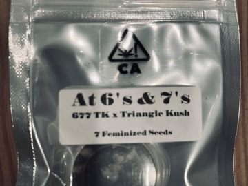 Vente: CSI - ‘at 6’s & 7s’ 677 triangle Kush x triangle Kush