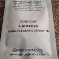 Vente: Radicle Genetics- Pink Gas