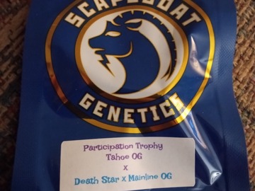 Vente: Scapegoat Genetics- Participation Trophy