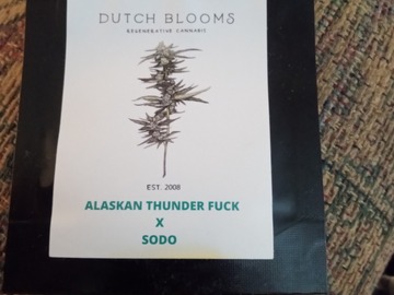 Sell: Dutch Blooms