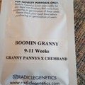 Sell: Radicle Genetics- Booming Granny