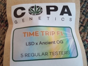 Venta: Copa Genetics- Time Trip F1
