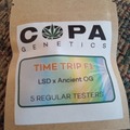 Sell: Copa Genetics- Time Trip F1