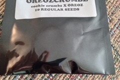 Sell: 3rd Coast Genetics- OreozCrumbz