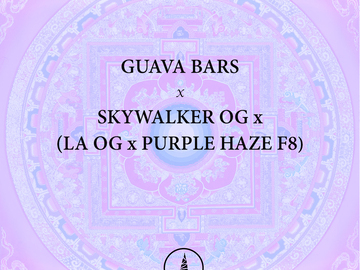 Vente: Guava Bars x Pagoda Kush - 1/1 Limited Release - Bloom
