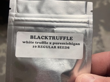 Venta: 3rd coast-black truffle