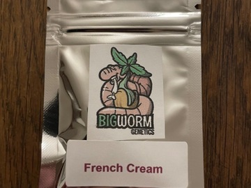 Venta: BigWorm Genetics - French Cream