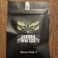 Sell: Aurora Genetics - Grizzly Peak F1