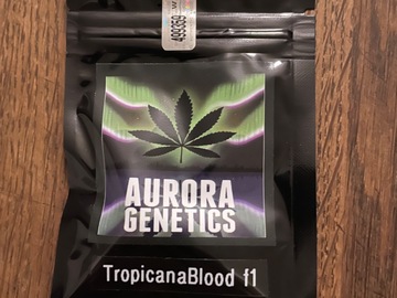 Sell: Aurora Genetics - Tropicanna Blood