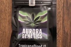 Sell: Aurora Genetics - Tropicanna Blood