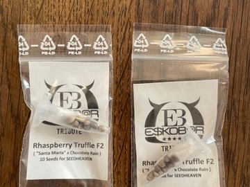 Sell: E$kobar Tribute - Rhaspberry Truffle F2