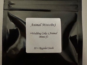 Vente: Animal mints bx1 (seed junky)