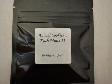 Vente: Animal cookies x kushmints 11 (seed junky)