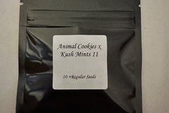 Vente: Animal cookies x kushmints 11 (seed junky)