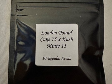 Vente: London pound cake 75 x kushmints 11 (seedjunky)