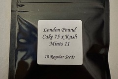 Sell: London pound cake 75 x kushmints 11 (seedjunky)