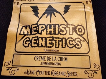 Venta: Mephisto Genetics Creme de la Chem 3 Pack