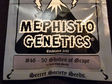 Vente: Mephisto Genetics 50 Shades of Grape 10 pack
