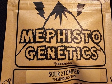 Venta: Mephisto Genetics Sour Stomper 7 Pack