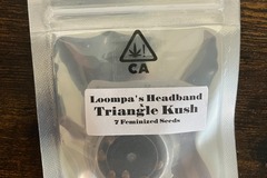 Vente: Loompa’s Headband x Triangle Kush