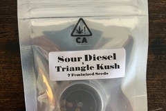 Vente: Sour Diesel x Triangle Kush