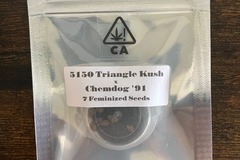 Venta: Triangle Kush 5150 x Chemdog ’91 from CSI
