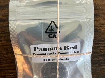 Sell: Panama Red IBL from CSI Humboldt