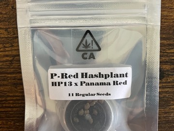 Venta: P-Red Hashplant from CSI Humboldt